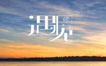 遇见阅读作文5篇