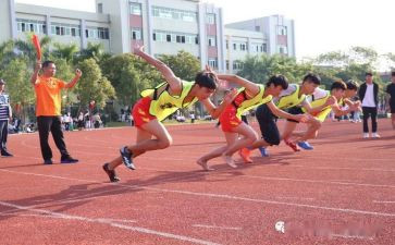 小学校运会活动方案7篇