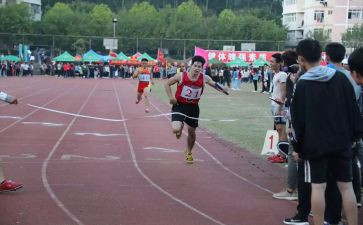 区运会观后感模板6篇