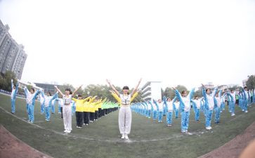校运会作文600字作文8篇