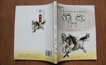 2022年语文组年度总结7篇