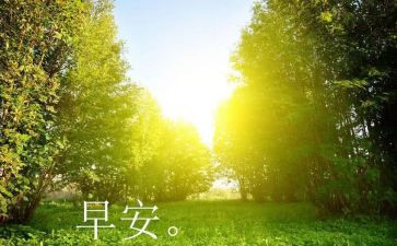 早教端午活动方案8篇