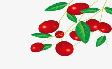 枣销售年终总结8篇