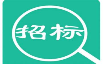 半年度招标工作总结7篇