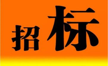 招标类年度总结7篇