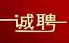 某公司招聘的工作总结7篇
