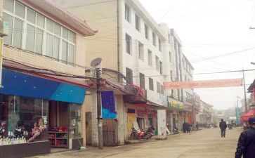 镇机关党委工作报告7篇