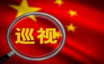 党员对照检查整改承诺书8篇