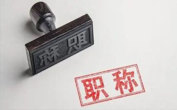教师正高级述职报告范文最新7篇