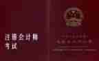 评审正高级教师工作总结8篇