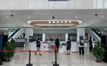 政务年度总结6篇