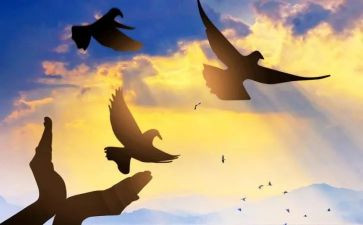 语言《有朋友真好》教案8篇