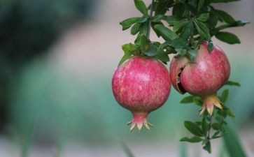 《真实的幸福》读后感7篇