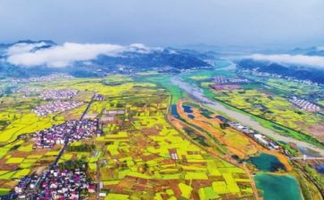 乡村振兴讲座心得7篇