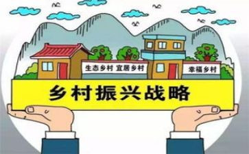 2024乡村振兴工作总结报告6篇
