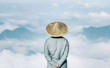 理智和情感读后感7篇