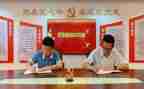 对支部年度总结2023精选5篇