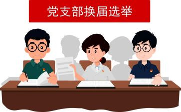 局党支部换届工作总结报告5篇