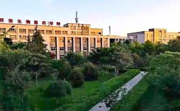职高语文教学工作总结5篇