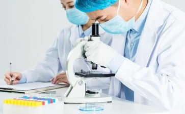 质量年度工作报告6篇