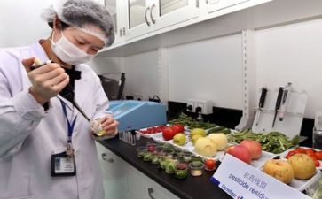 抓安全保质量的心得体会参考5篇