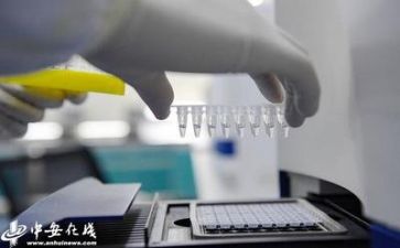 质量管理部年工作总结5篇