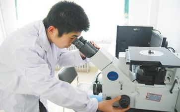 2023质量工作计划最新6篇