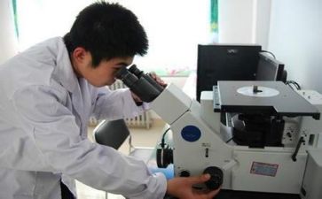 质量管理部质量工作总结7篇