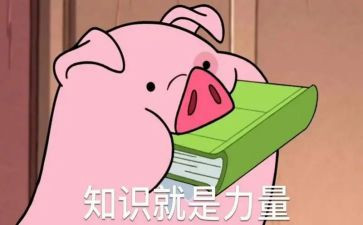 安全知识展心得5篇