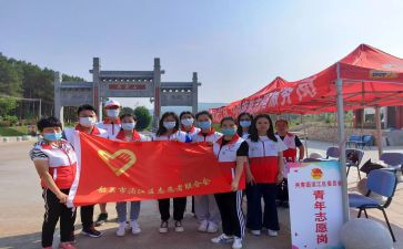 保护环境志愿活动总结5篇
