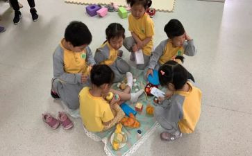 个人新工作计划幼儿园中班5篇