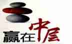 企业中层个人总结5篇
