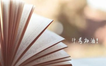 数学中考工作总结6篇