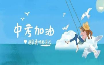 市中考工作总结8篇