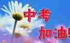 中考发言稿作文7篇