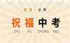 中考的励志演讲稿模板8篇