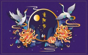 重阳节敬老月活动总结7篇