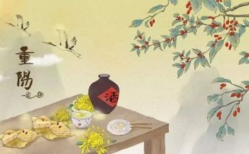 小班幼儿重阳节活动总结8篇