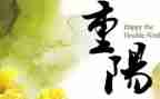 99重阳节作文300字5篇