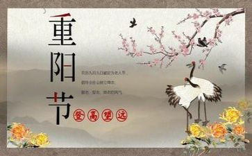 精选重阳节的作文7篇