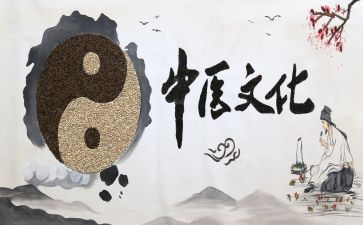 名中医工作总结5篇