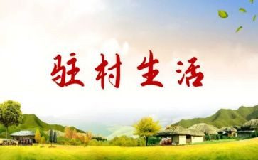 驻村帮扶队年度工作总结8篇
