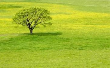 《主角》作文5篇