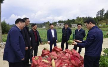 助农实践心得体会5篇
