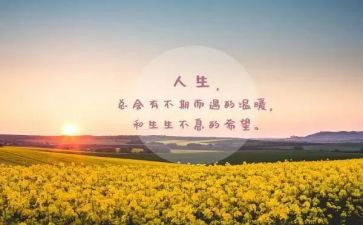 卓越圈的心得体会参考5篇