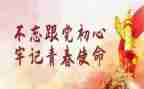 青年主题团日活动总结5篇