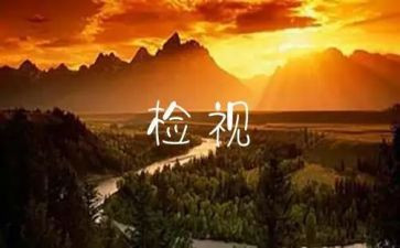 自检自查总结报告8篇