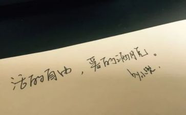 《爱和自由》读书心得5篇
