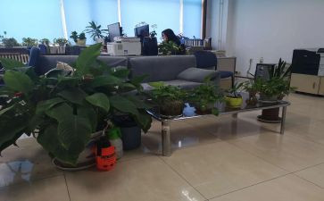 综合部半年度工作计划5篇