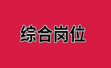 综合岗半年度工作总结8篇